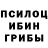 Галлюциногенные грибы GOLDEN TEACHER Avng Avng